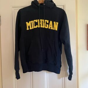 Champion Reverse Weave Michigan Hoodie